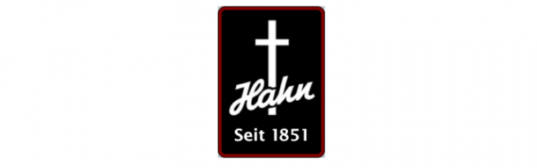 hahn 160x50 768x240